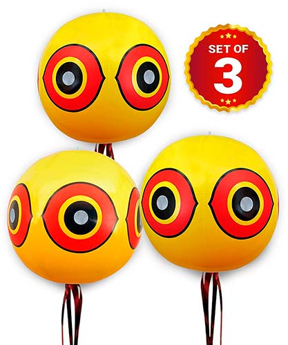 Los mejores globos ahuyentadores de aves