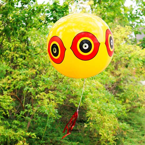 Los mejores globos disuasores de aves