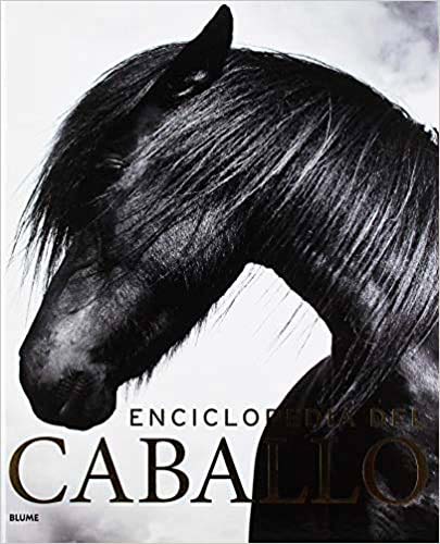 Regalos para amantes de los caballos